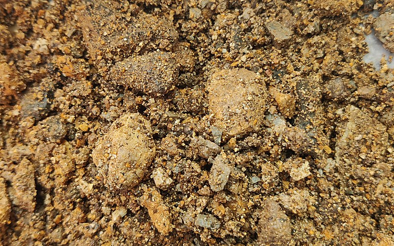 Phosphate rock — bulk sample grade D